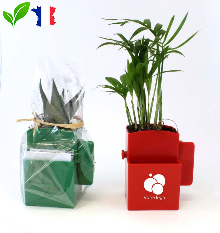 Box plante dépolluante ID25