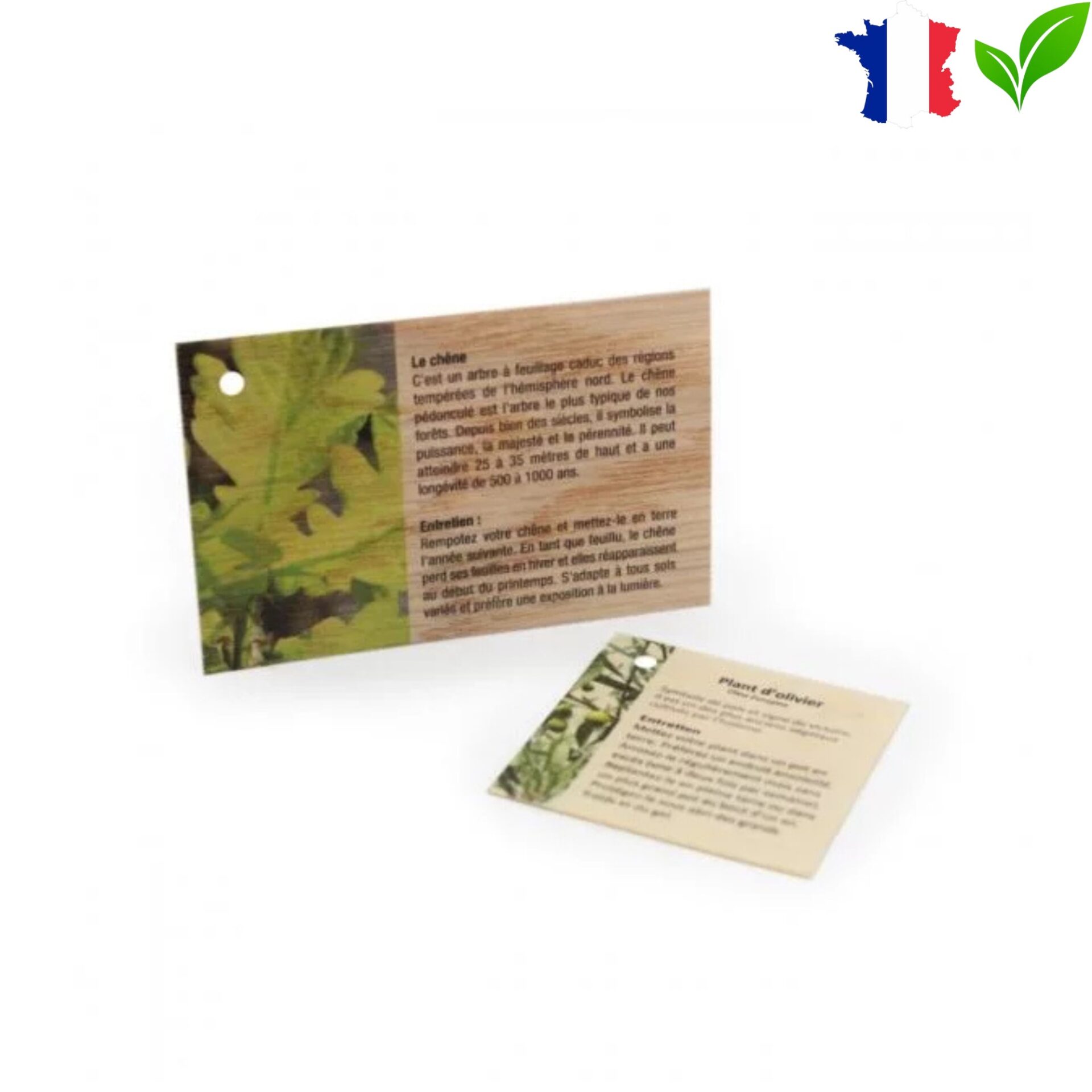 Carte en bois IDBOIS01