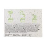 Bloc-notes graines 3