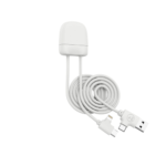 cable charge ice c